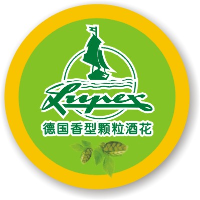 TYPE CT chain guides