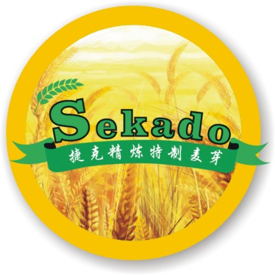 TYPE CKG chain guides